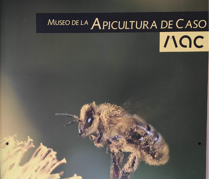 Museo apicultura