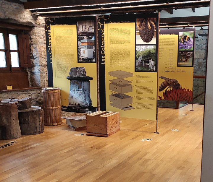 Museo apicultura